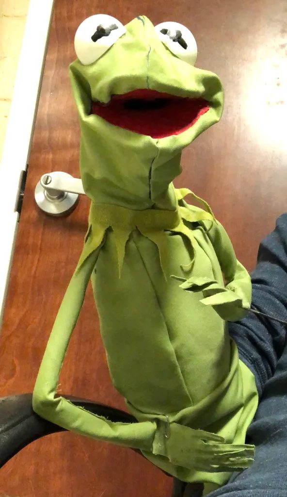 Green frog puppet close up